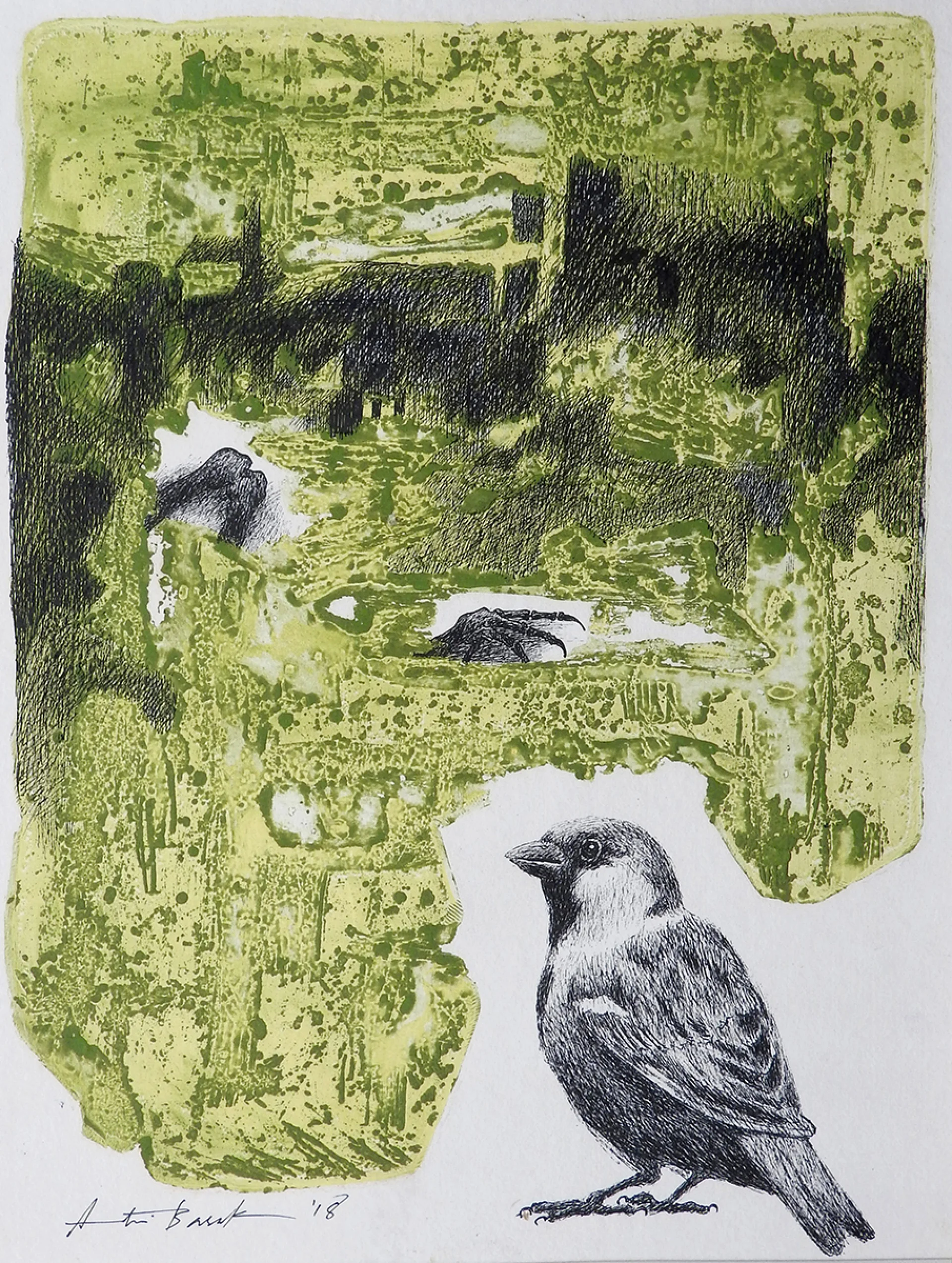 Untitled by Atin Basak - Pen, ink & etching on Paper