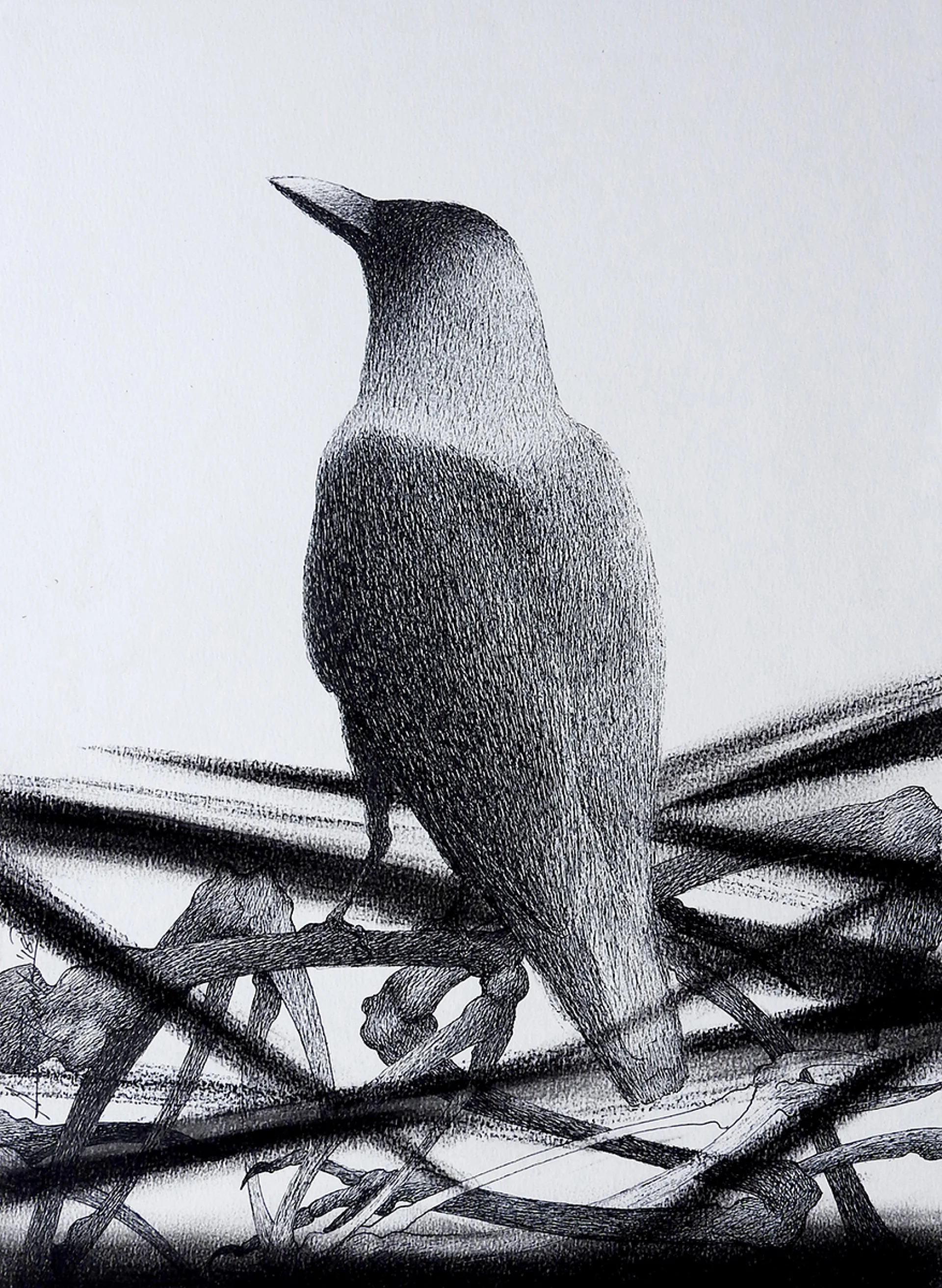 Untitled by Atin Basak - Pen, ink & dry pastel on Paper