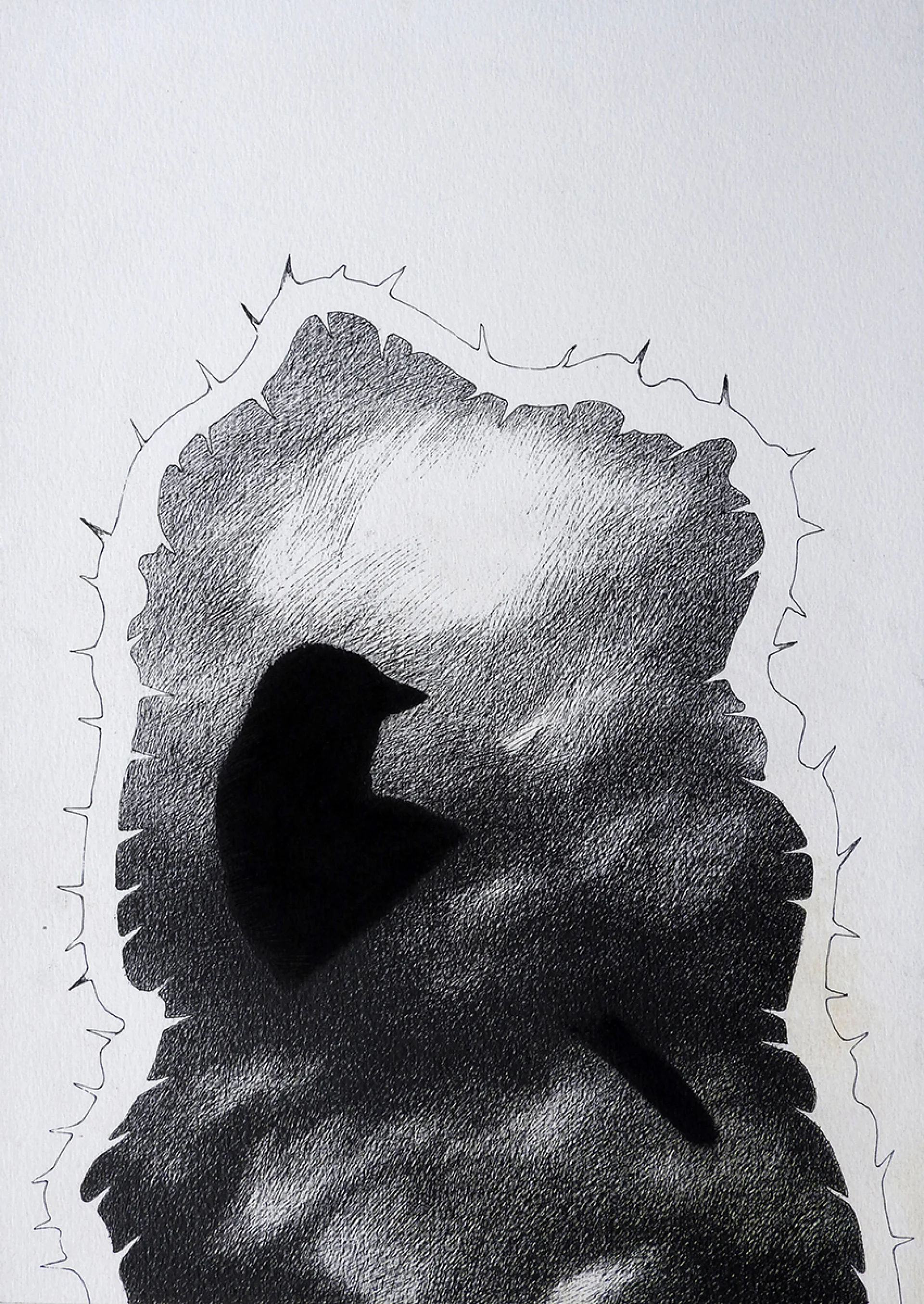 Untitled by Atin Basak - Pen, ink & dry pastel on Paper