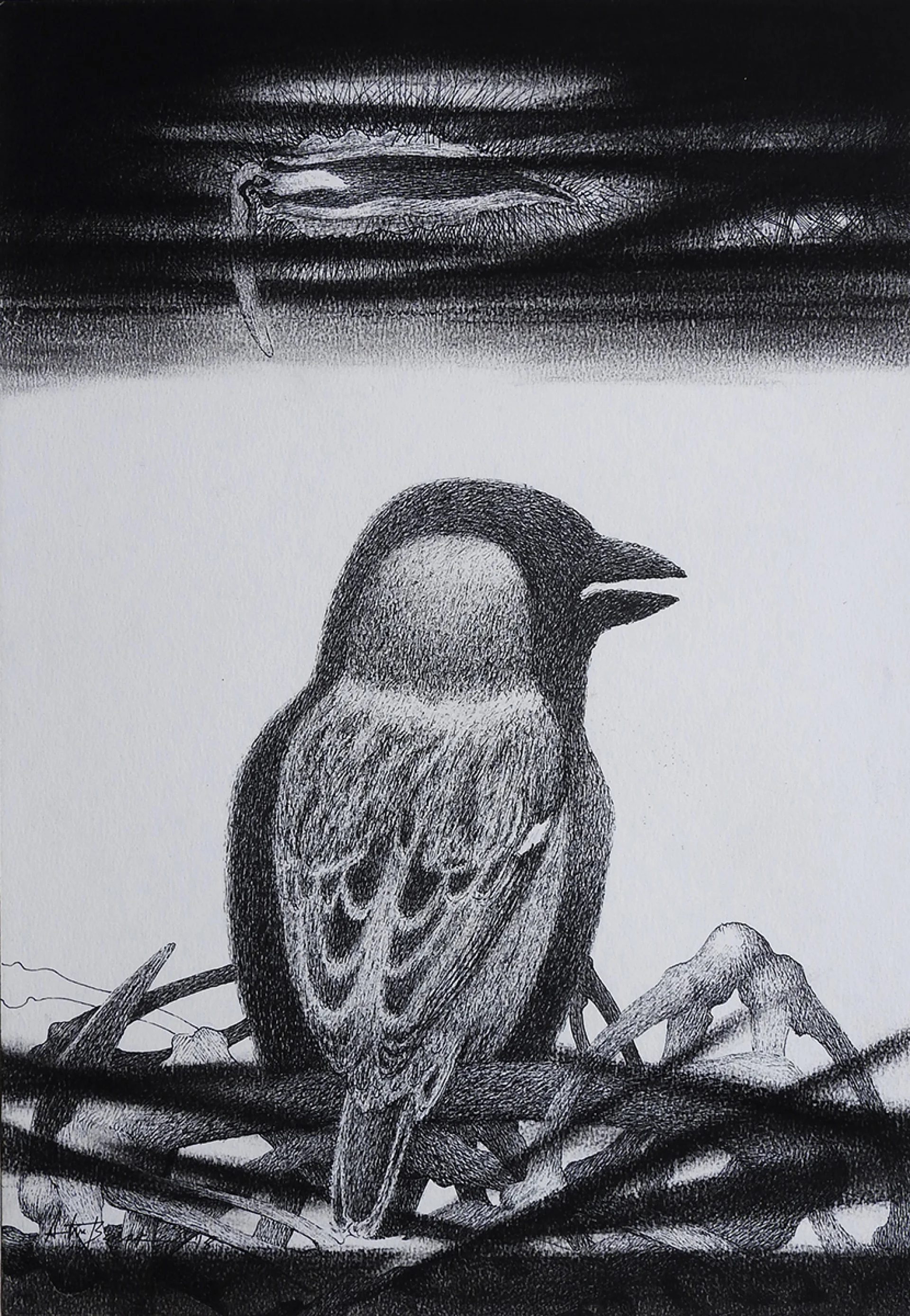 Untitled by Atin Basak - Pen, ink & dry pastel on Paper