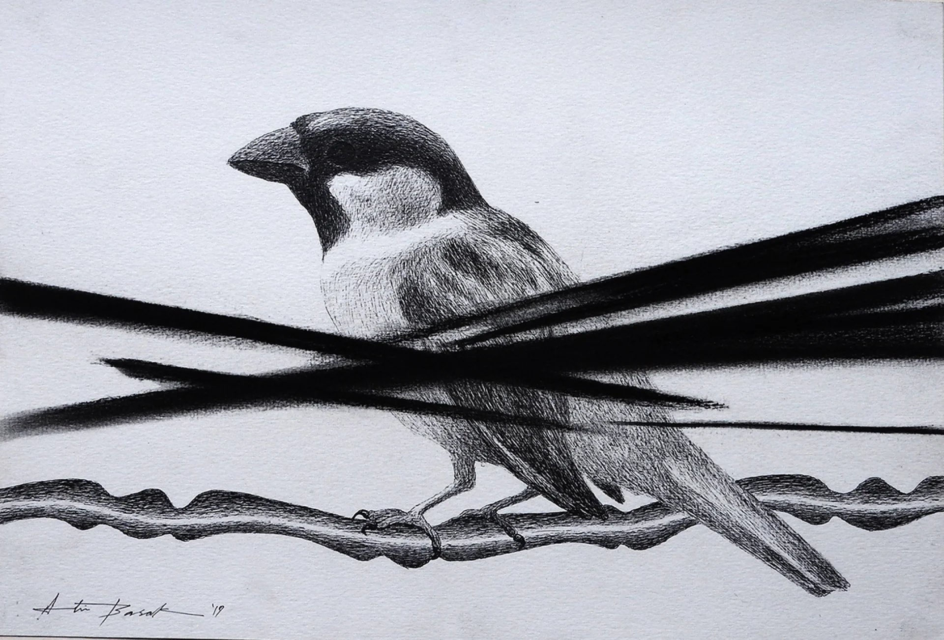 Untitled by Atin Basak - Pen, ink & dry pastel on Paper