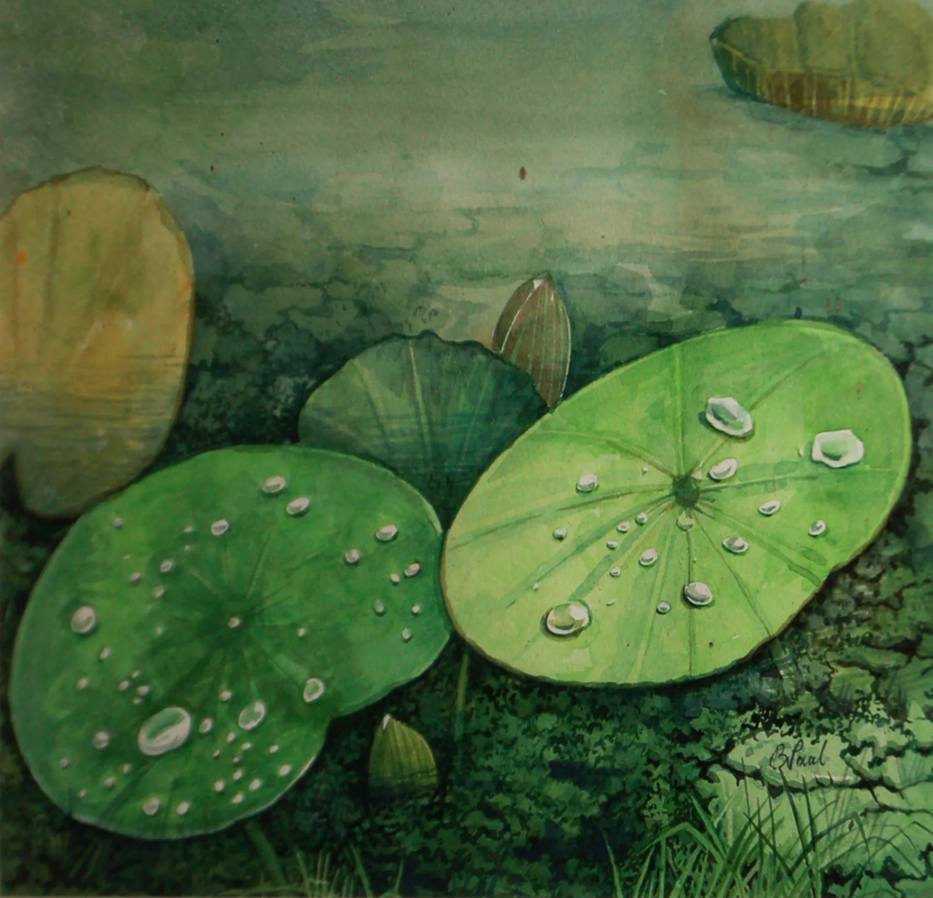 Water Lily by Biraj Kumar Paul - Watercolour on Paper